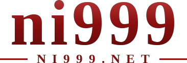 ni999 logo